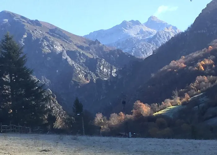 La Carasca Hotel Orlé