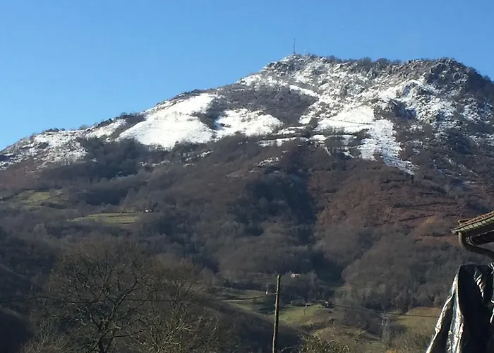 Hotel La Carasca Orlé